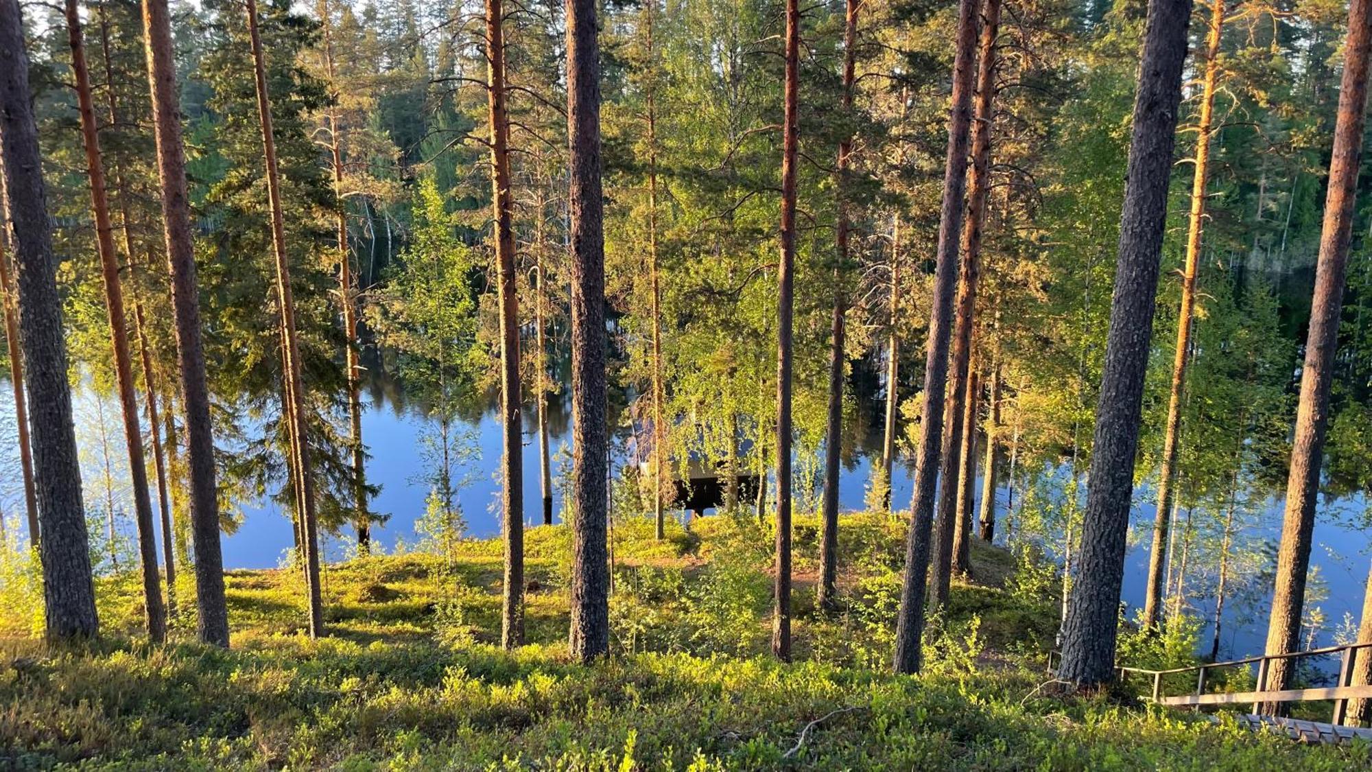 Ahvenlampi Camping Saarijärvi Extérieur photo