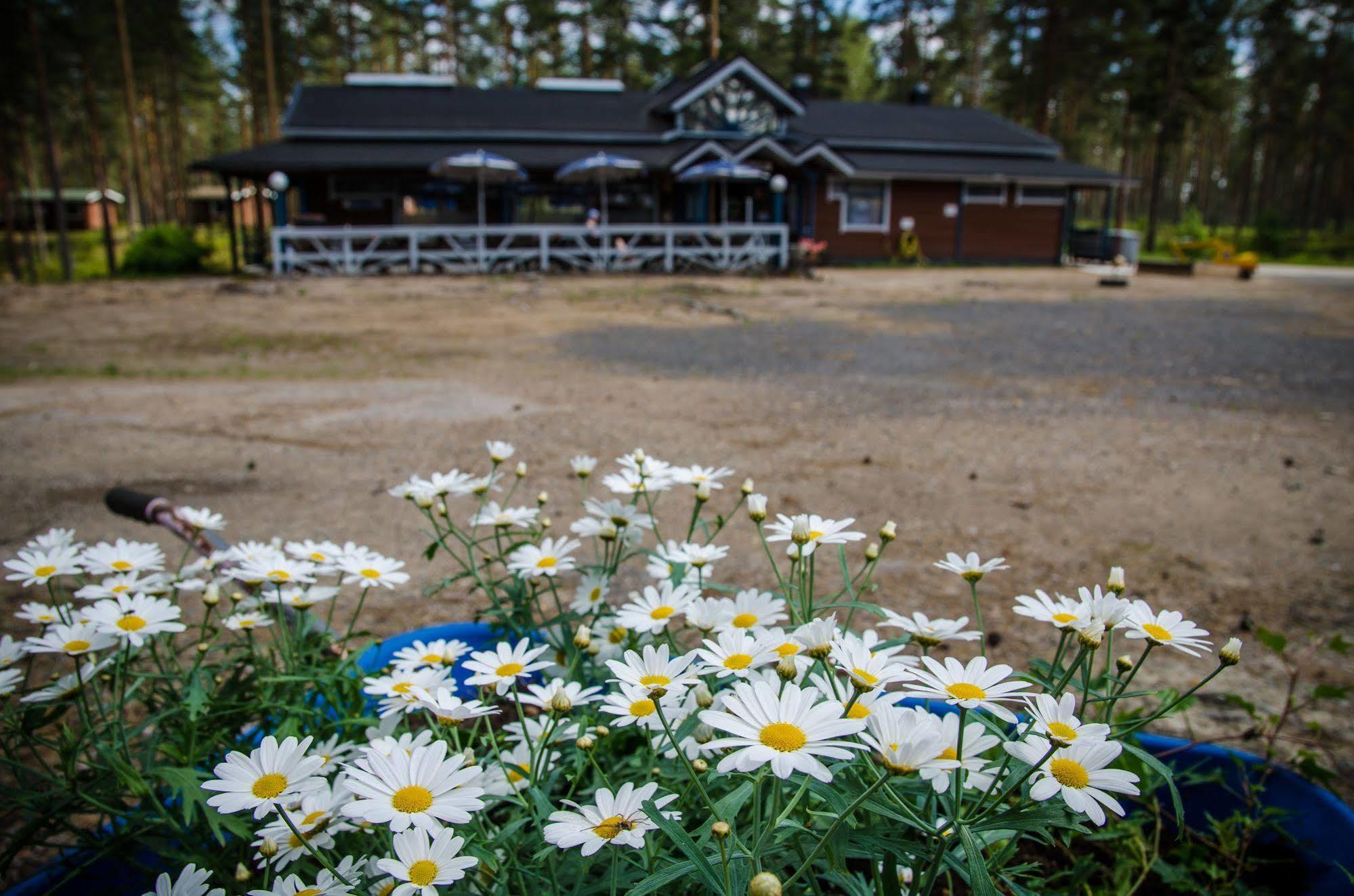 Ahvenlampi Camping Saarijärvi Extérieur photo